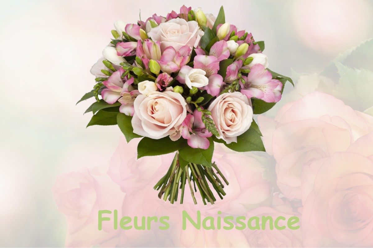 fleurs naissance OUZOUER-SOUS-BELLEGARDE