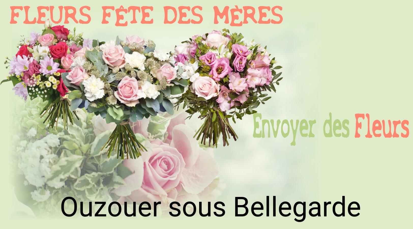 Bouquet de Fête des Mères livré à Ouzouer-sous-Bellegarde